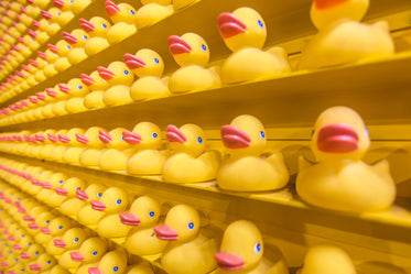 rubber ducks on yellow shelves