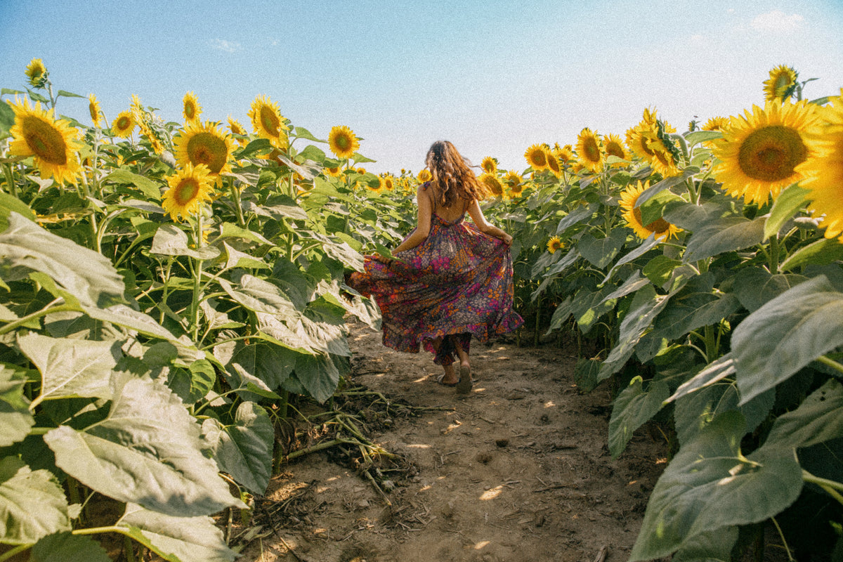 running through a sunflower field on clear day