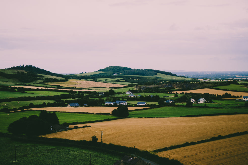 rural landscape with houses dotted