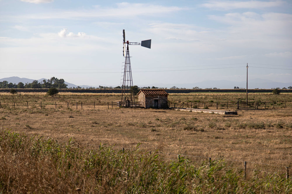 rural windmill and out house