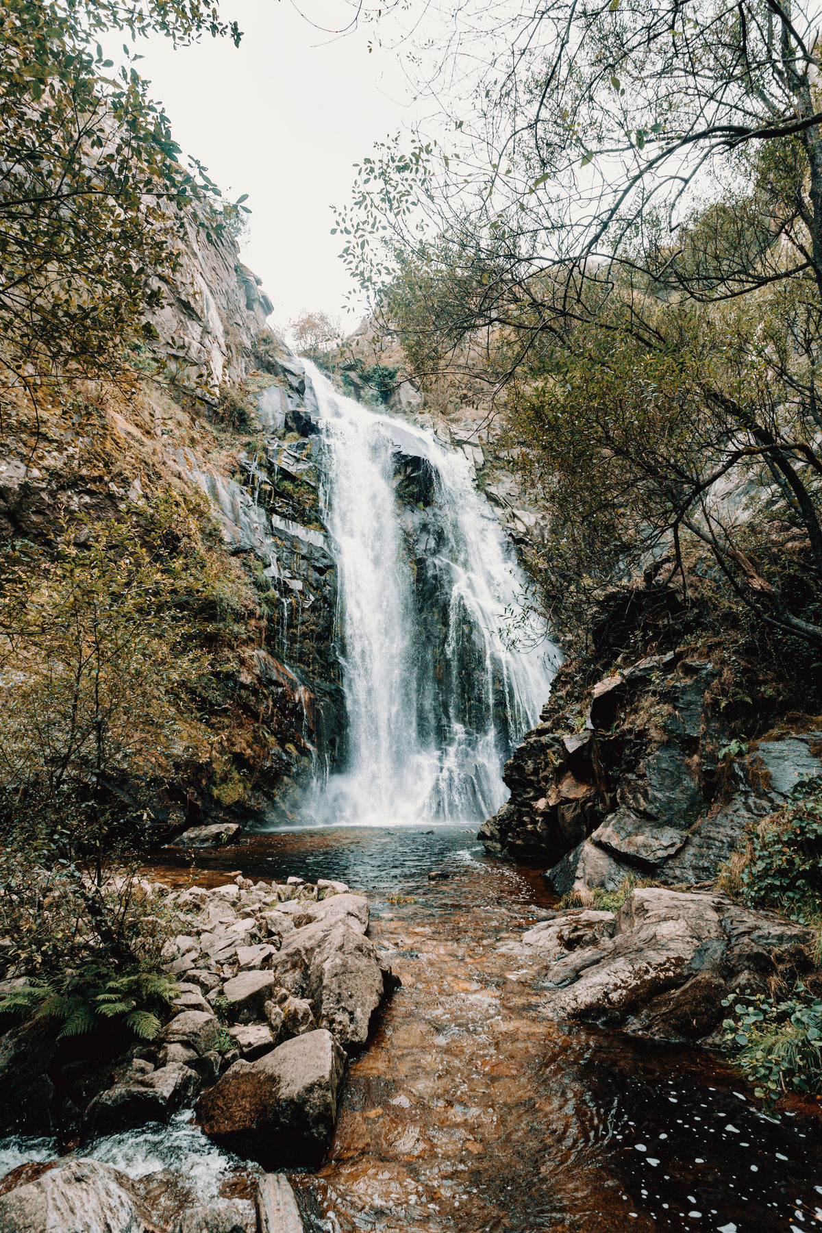 rushing waterfall between trees