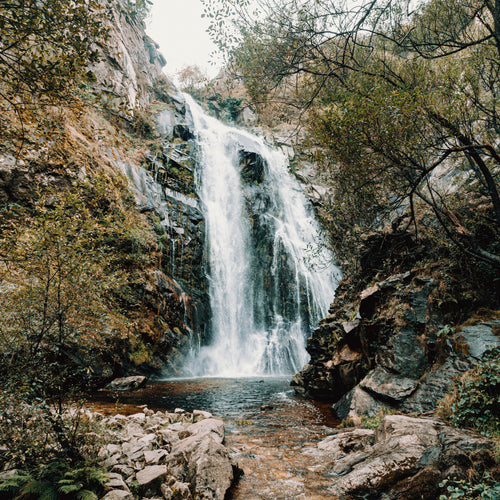 Rushing Waterfall Between Trees