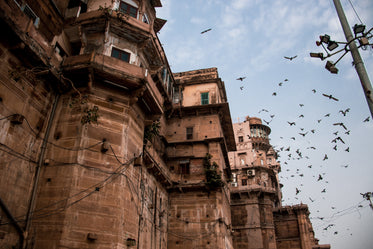 rust colored building and birds flying beneath a blue sky