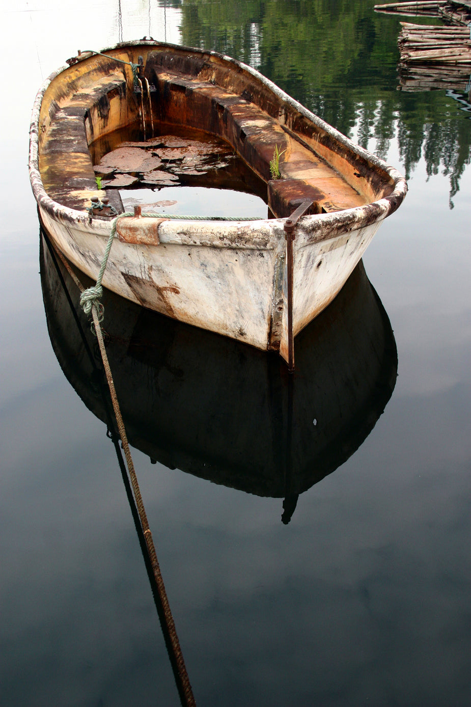 Rustin Boat Browse Free HD Images of Rusted River Boat On Clear Water
