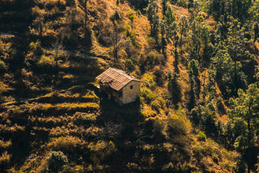 rustic cabin on the morning hillside