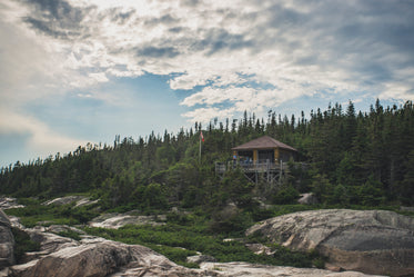 rustic wooden forest lookout