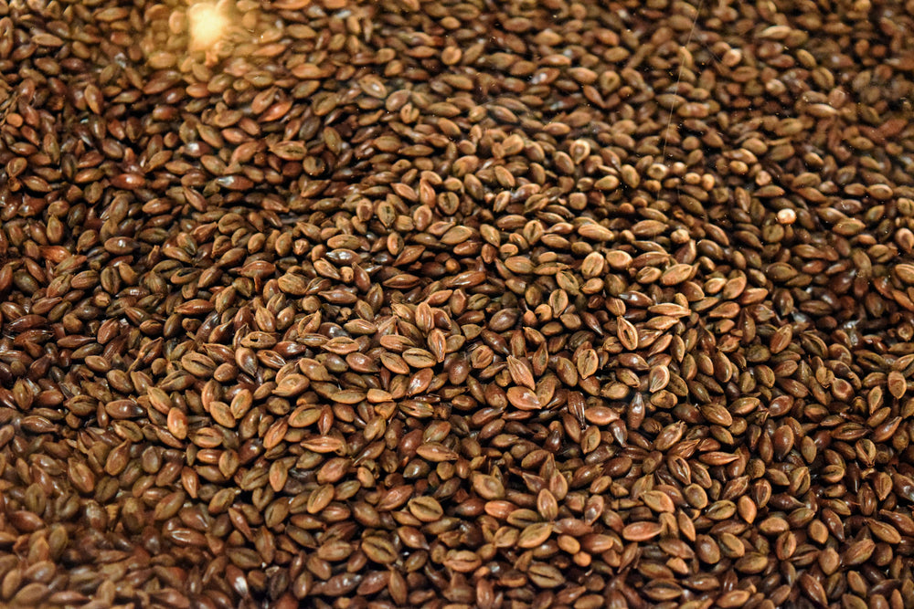 rye seeds close up