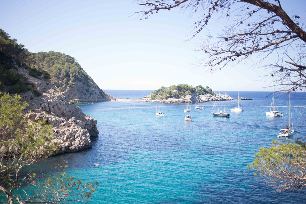 sailboats in cove