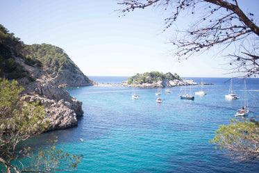 sailboats in cove