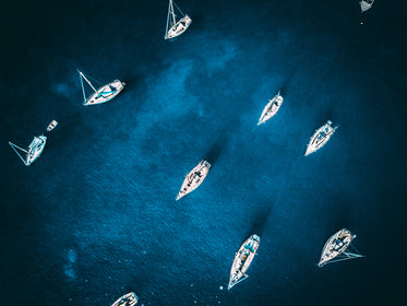 sailboats in harbor from above