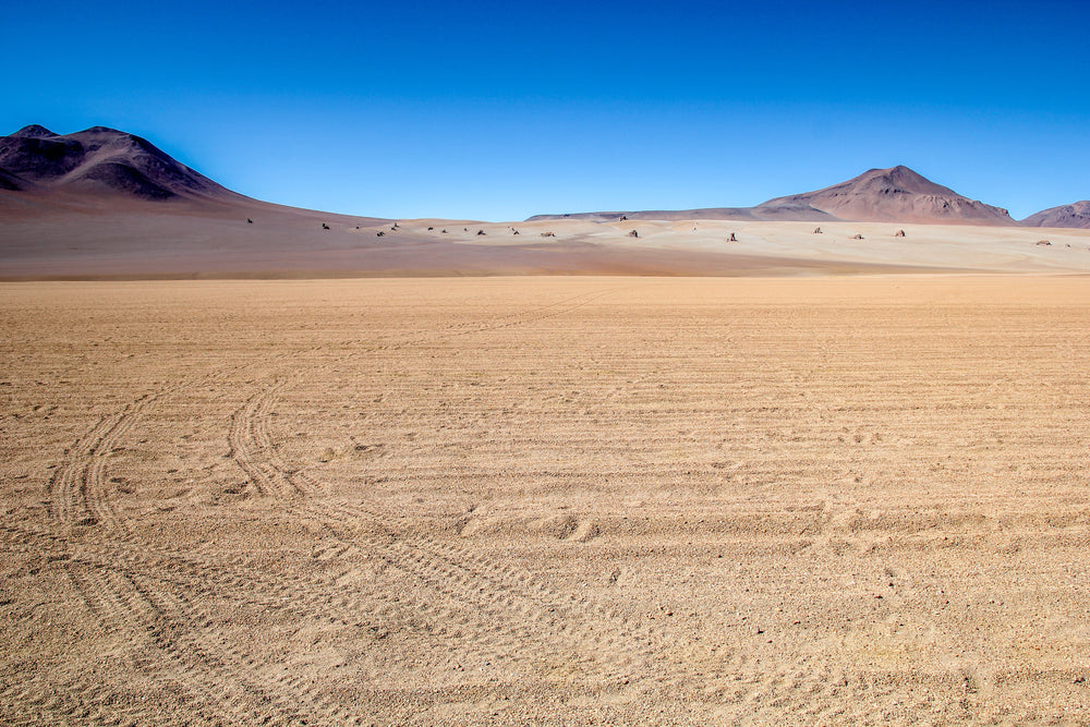 salvador dali desert