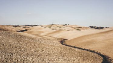 sandune like terrain