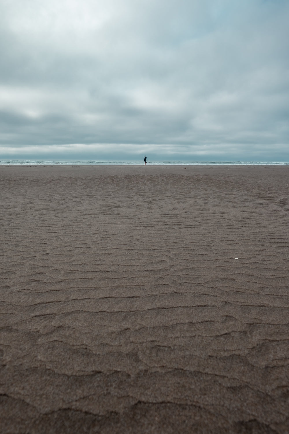 sandy beach and person oceanside