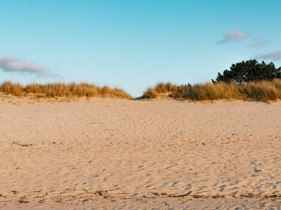 Sandy Beach And Sand Dunes Under Deep Blue Sky