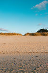 sandy beach and sand dunes under deep blue sky