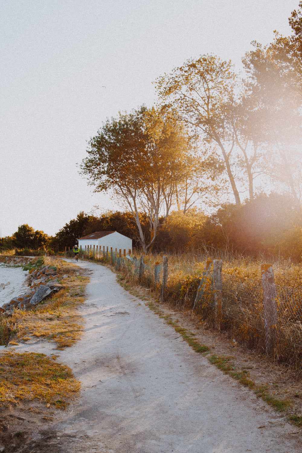 sandy path in the evening