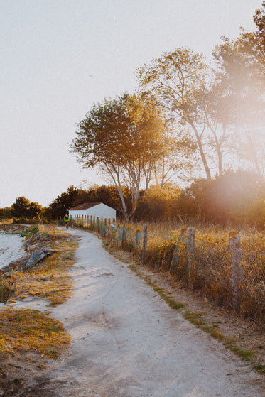 sandy path in the evening