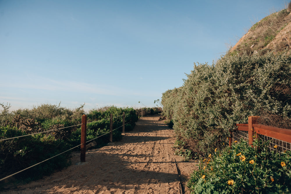 sandy path leads into a shrub-covered hill