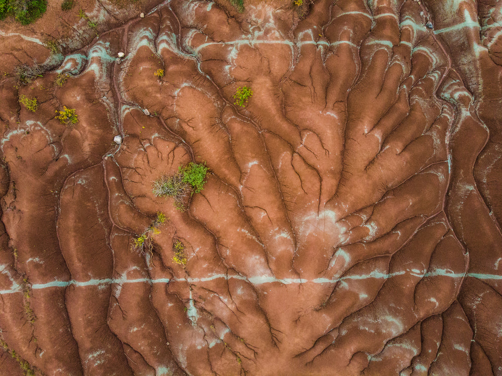 sandy veins of ontario badlands