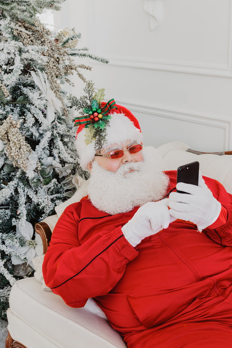 Santa Browsing For Gifts