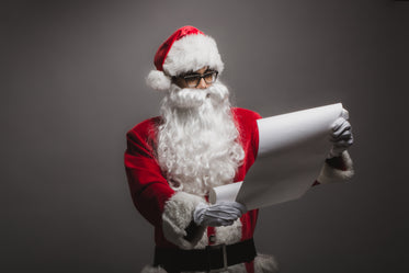 santa checks list