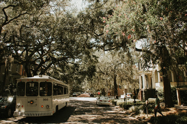 savannah georgia trolly on street