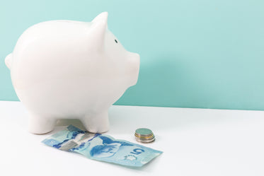 Free Stock Photo of Saving Money In Piggy Bank — HD Images