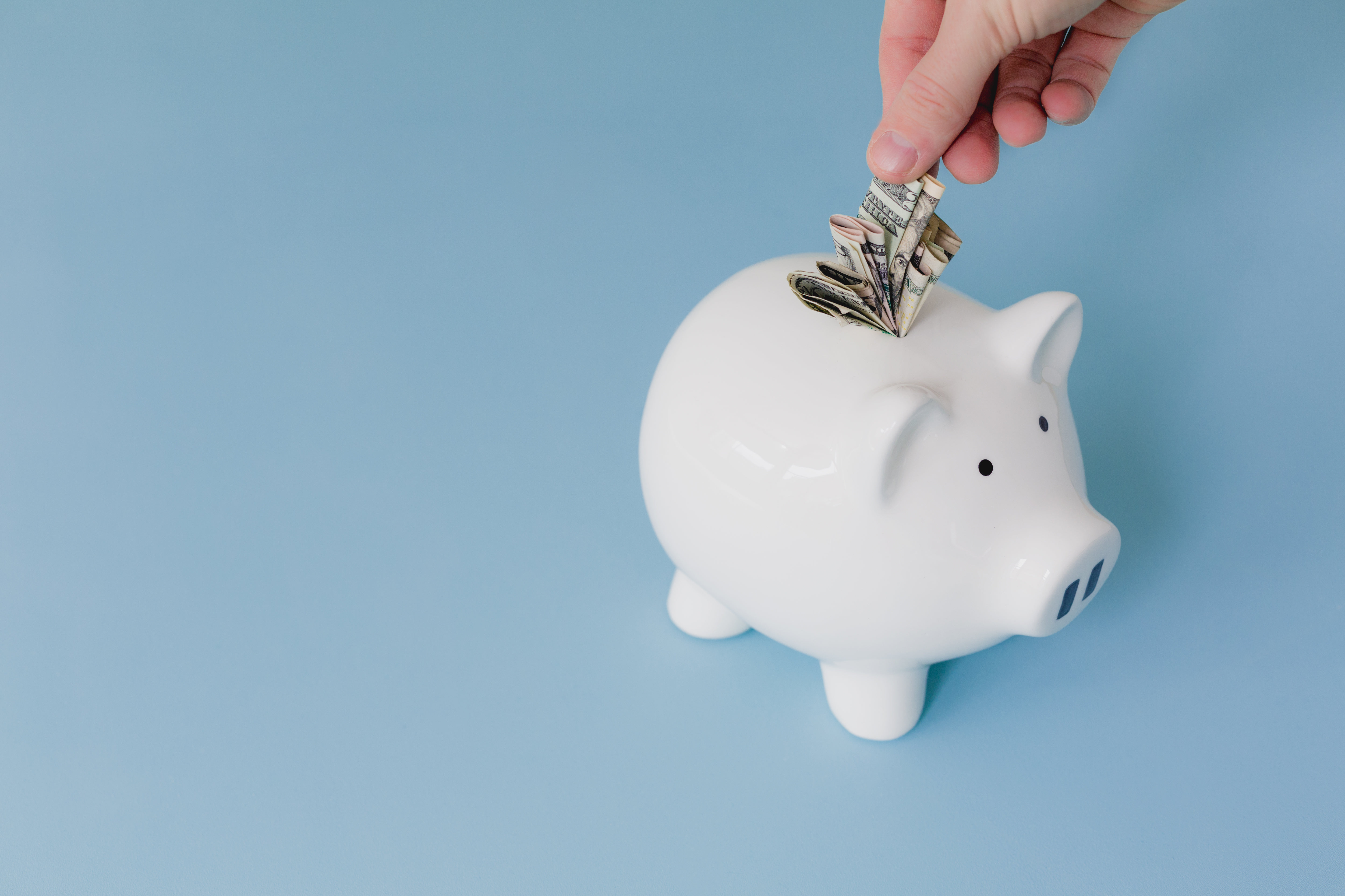 Piggy bank online savings