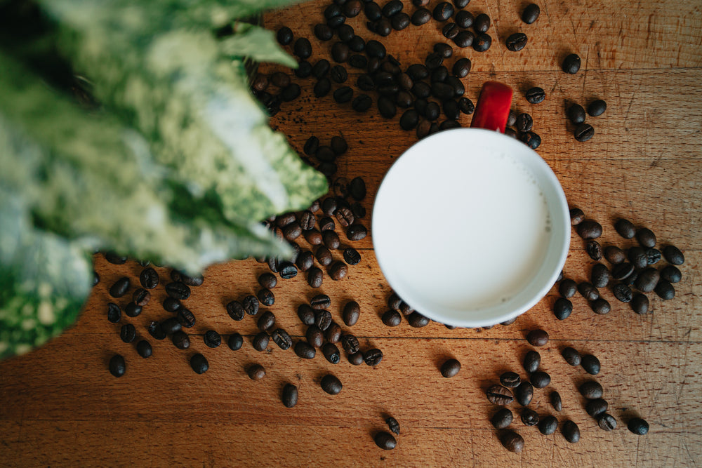 scattered coffee beans and milk