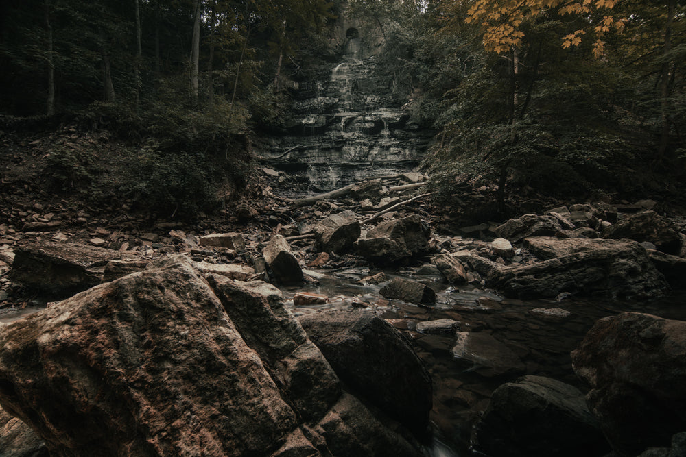 scattered rocks below thick forest