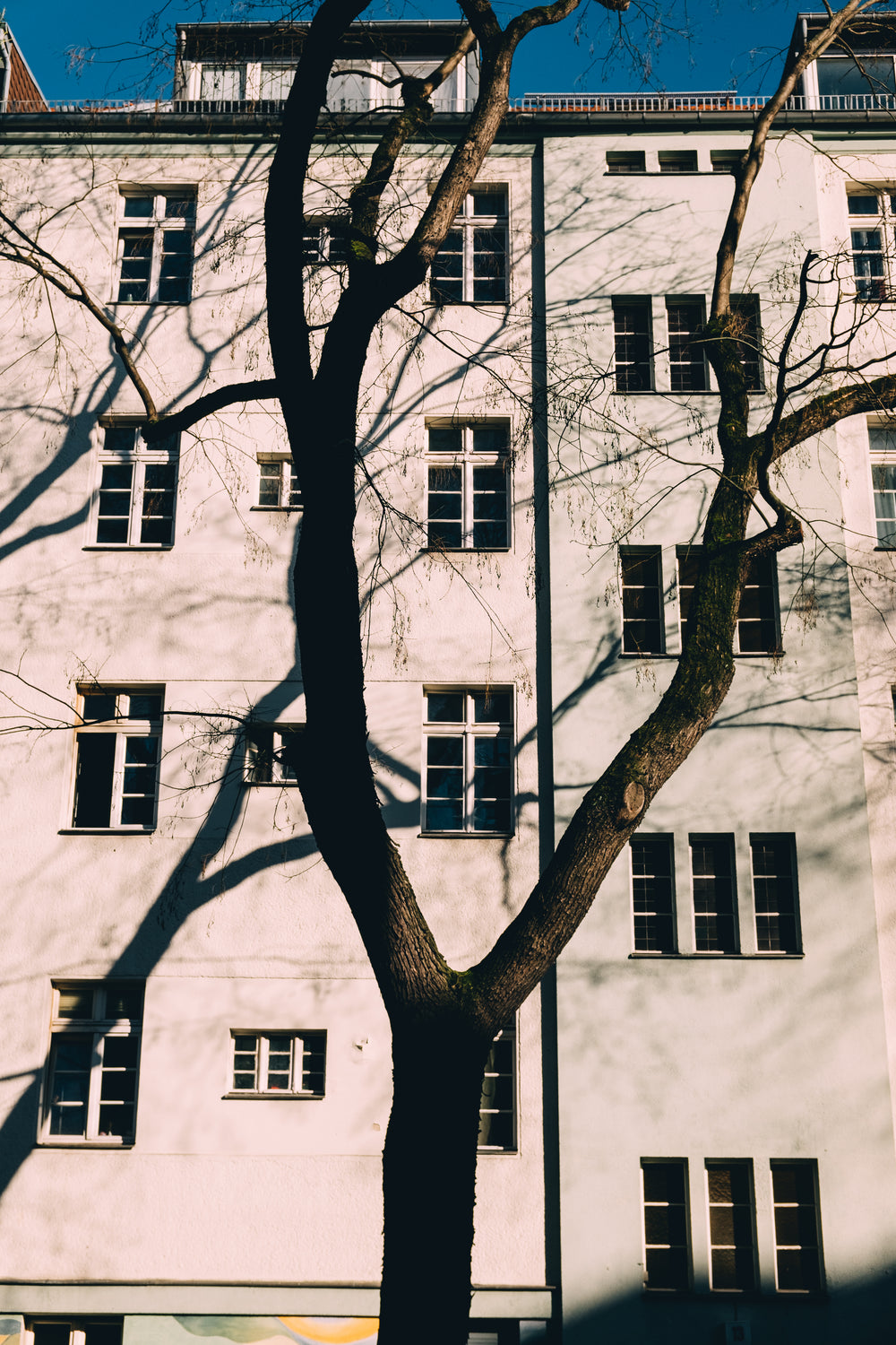 scattered windows on tall building