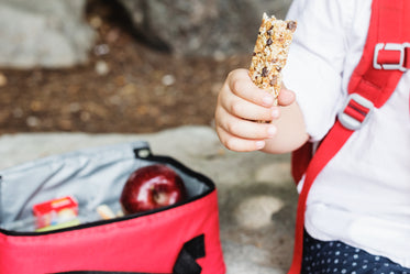 school lunch and granola snack