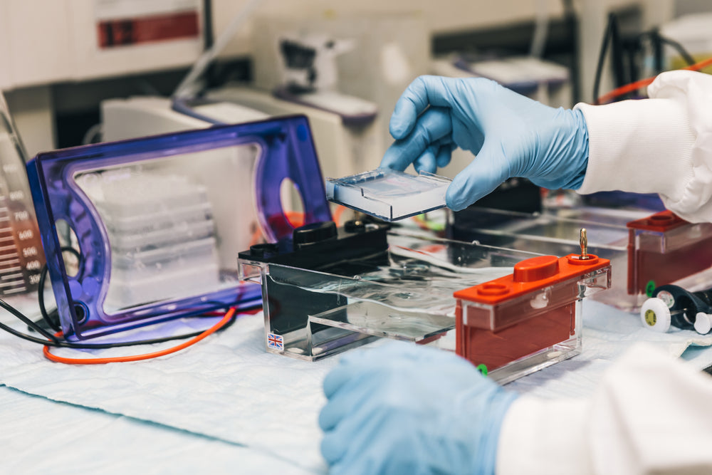 scientist holding agar plate