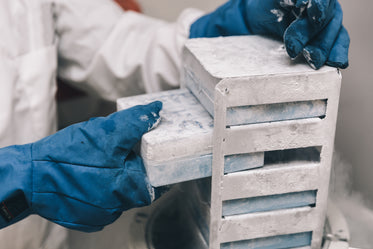 scientist in lab with frozen specimens