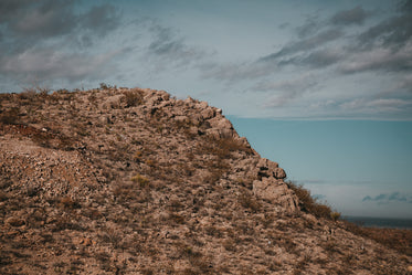 scrubby desert hillside