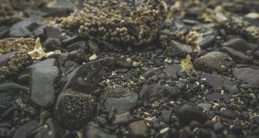 sea-soaked pebbles and rocks