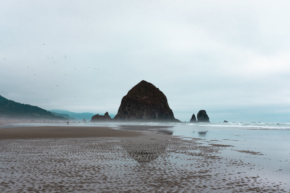 sea stack by ocean at low tide