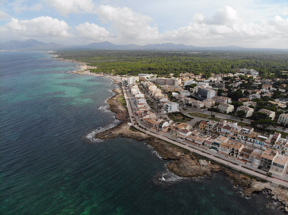 seafront town in front of large forest