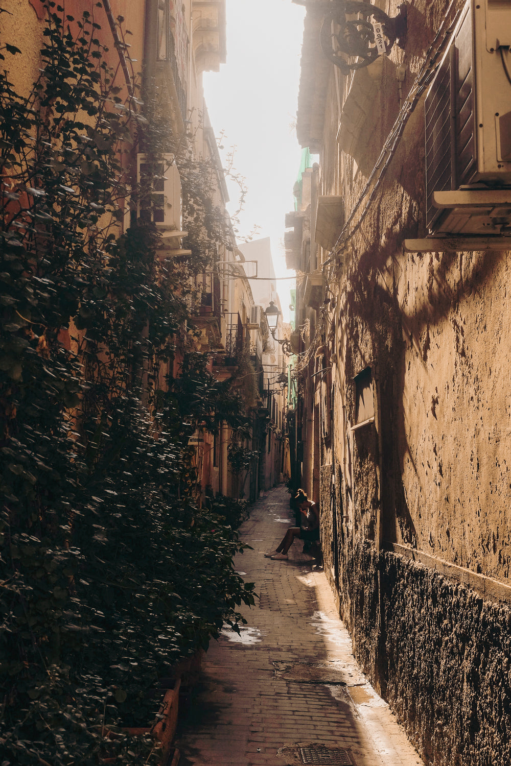 sepia alley with ivy on the walls