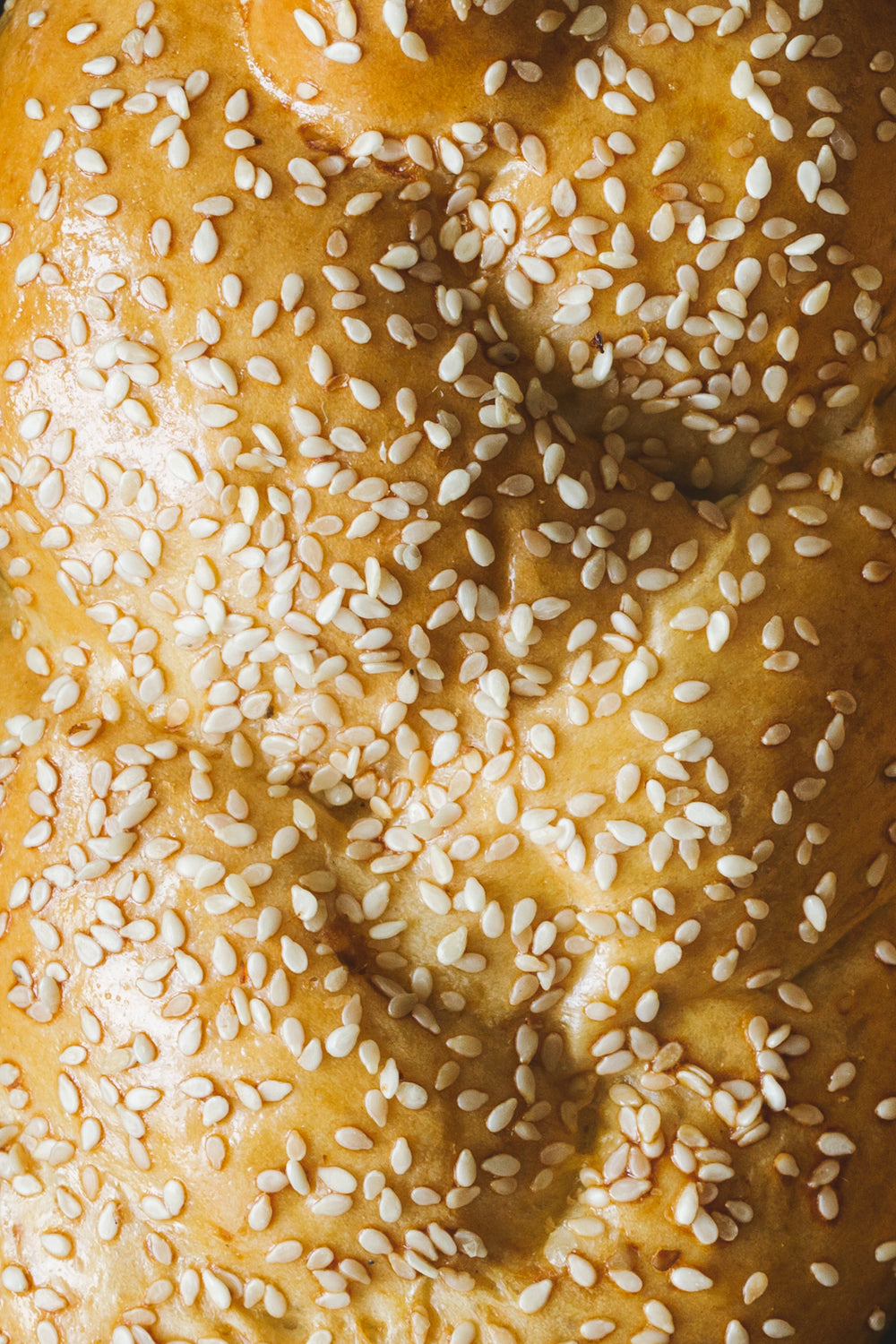 sesame seeds on challah bread texture