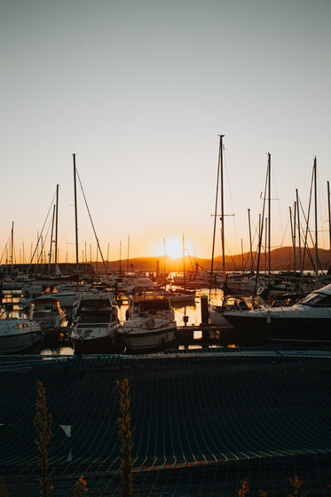 setting golden sun over the marina