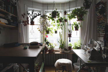 Browse Free HD Images of Sewing Studio