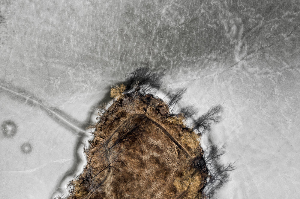 shadow trees on frozen lake