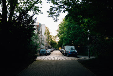 shadowy side street with cars parked