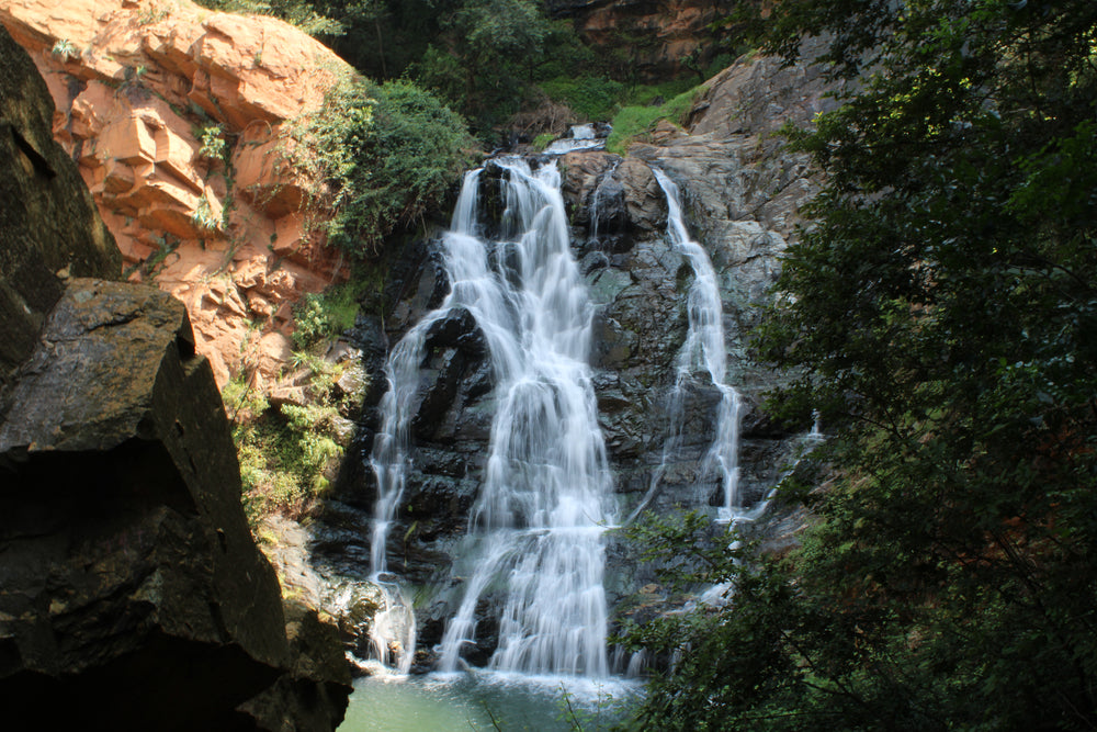 shady forest waterfall