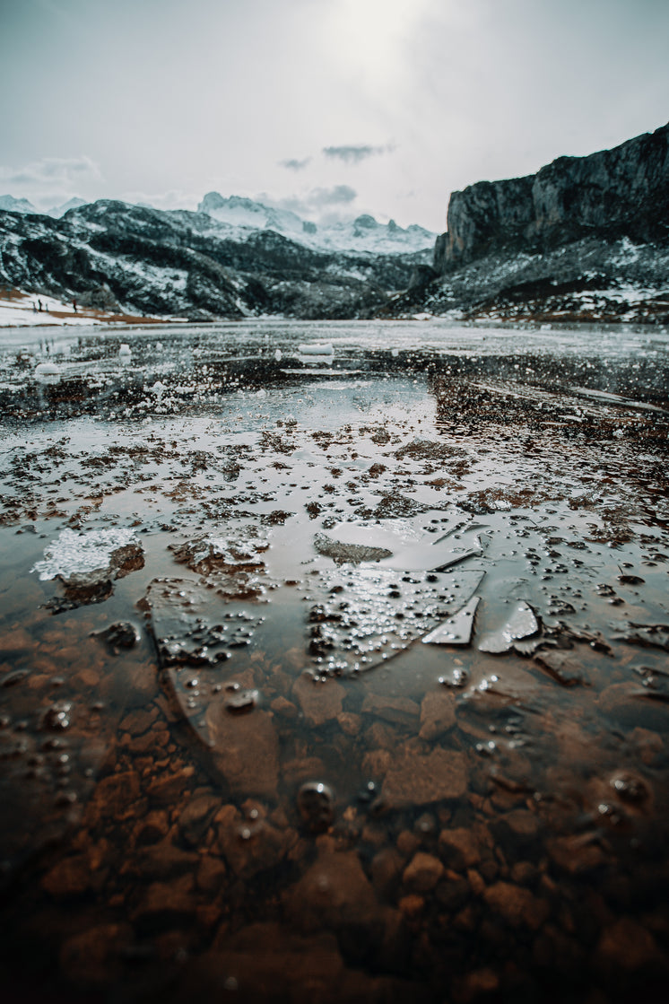 Shards Of Broken Ice On A Lake