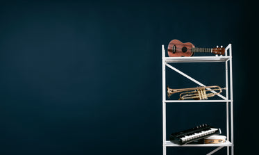 shelving with musical instruments