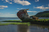 shipwreck near grassy shores