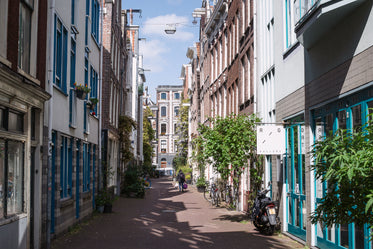 shopper on urban street