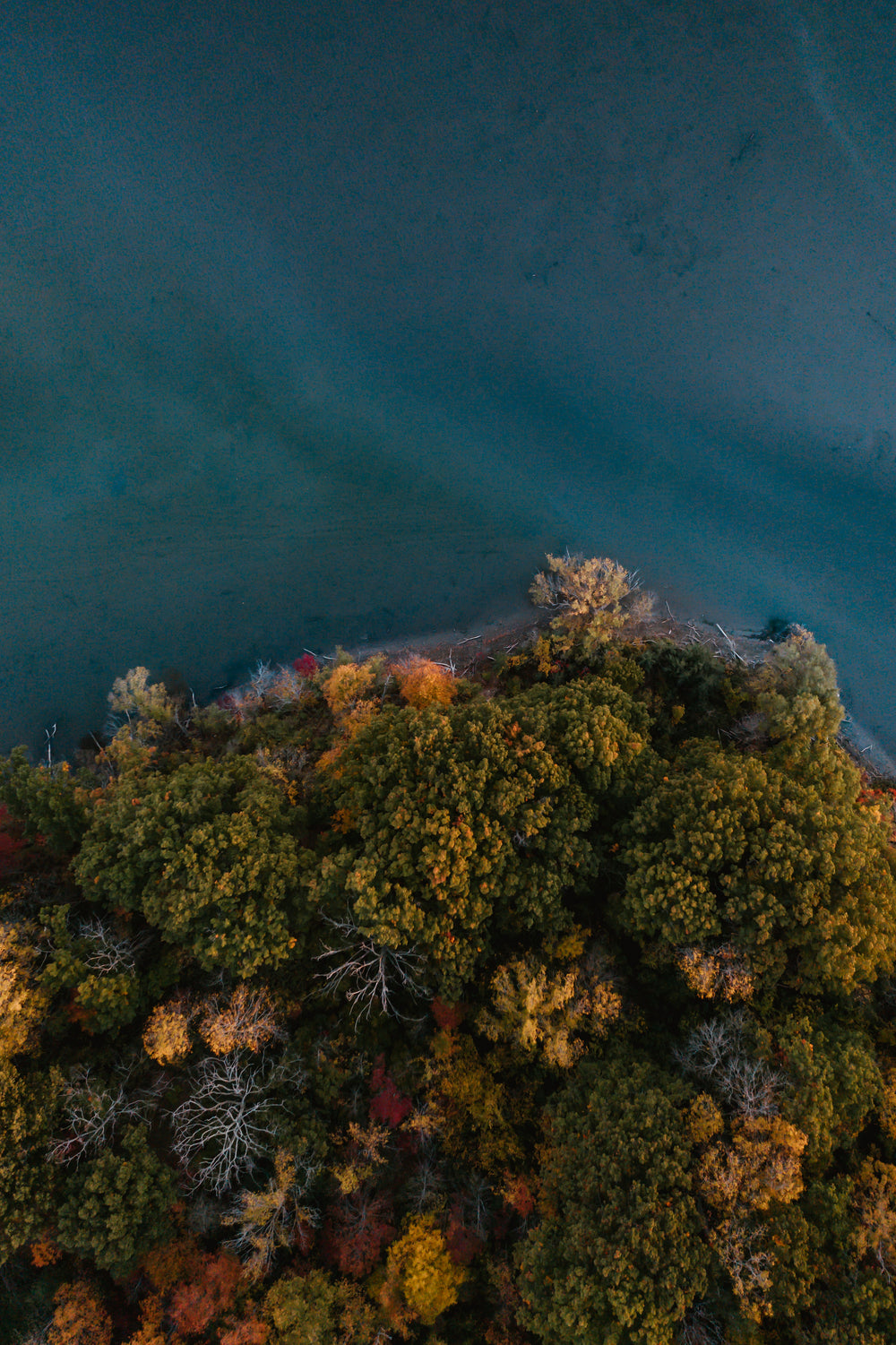 shoreline meets trees in fall colors